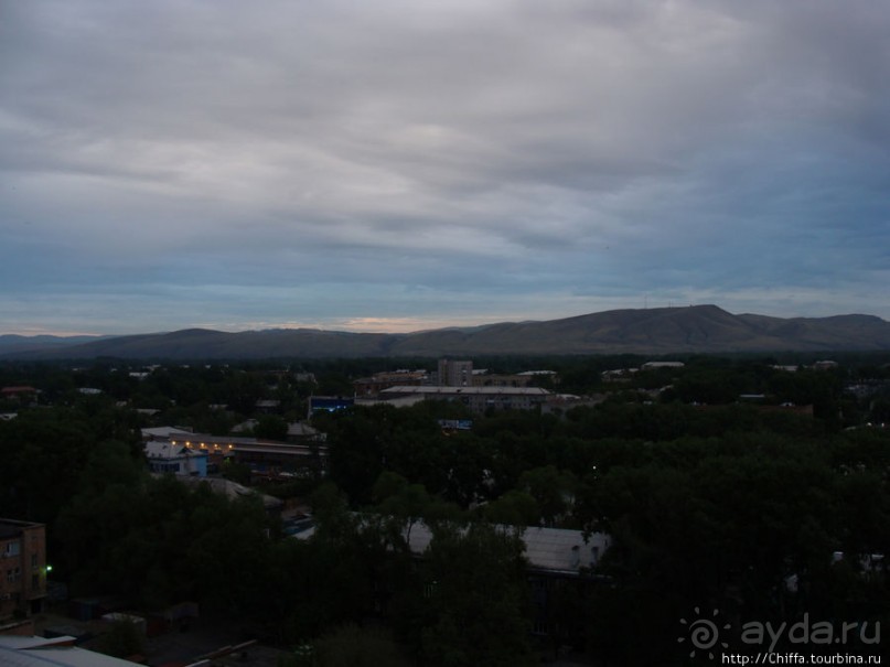 Зелёный город