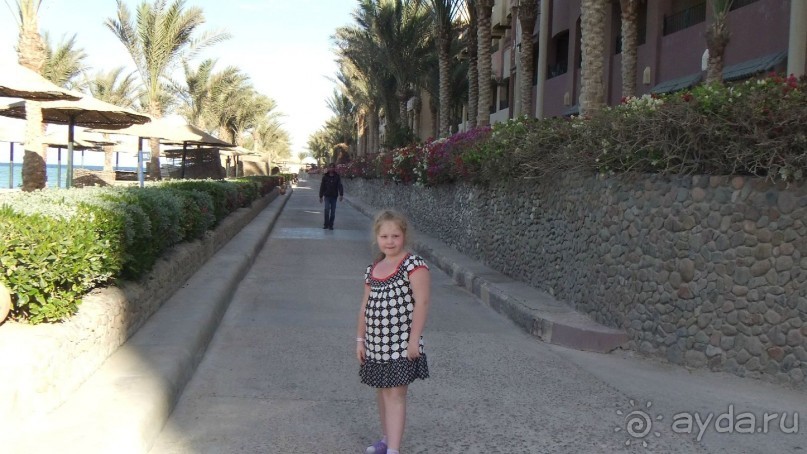 фото Sunny Days El Palacio Resort