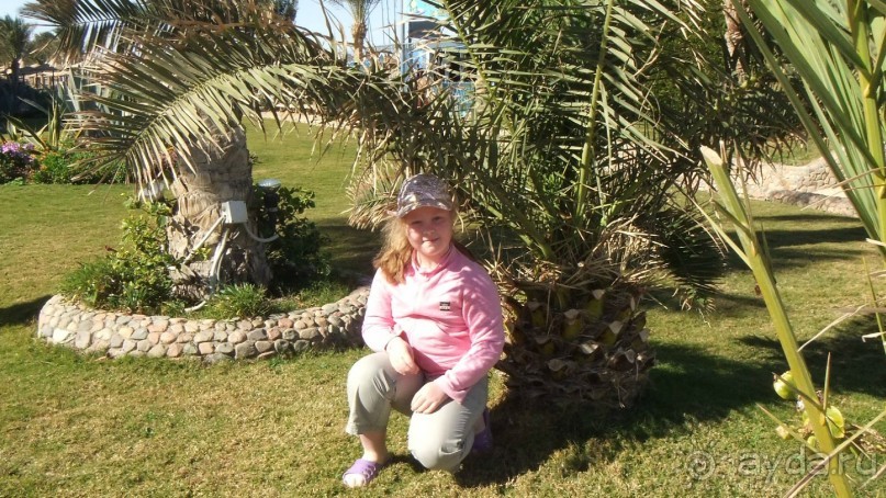 фото Sunny Days El Palacio Resort