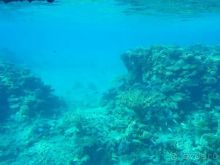 Хургада,2010 г.