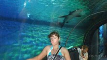Вьетнам 2012 г.