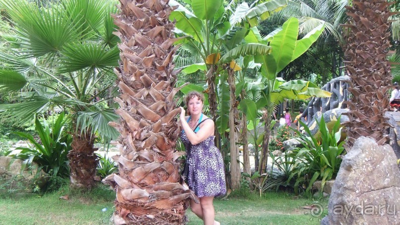 Вьетнам 2012 г.