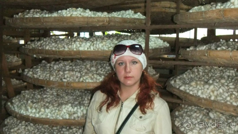 Вьетнам 2012 г.