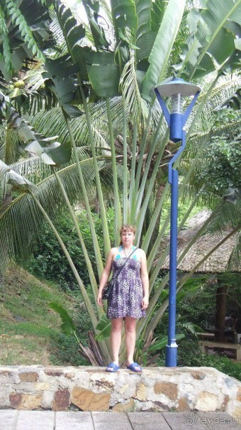 Вьетнам 2012 г.