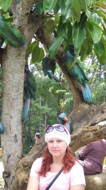 Вьетнам 2012 г.