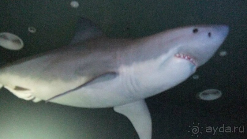 Вьетнам 2012 г.