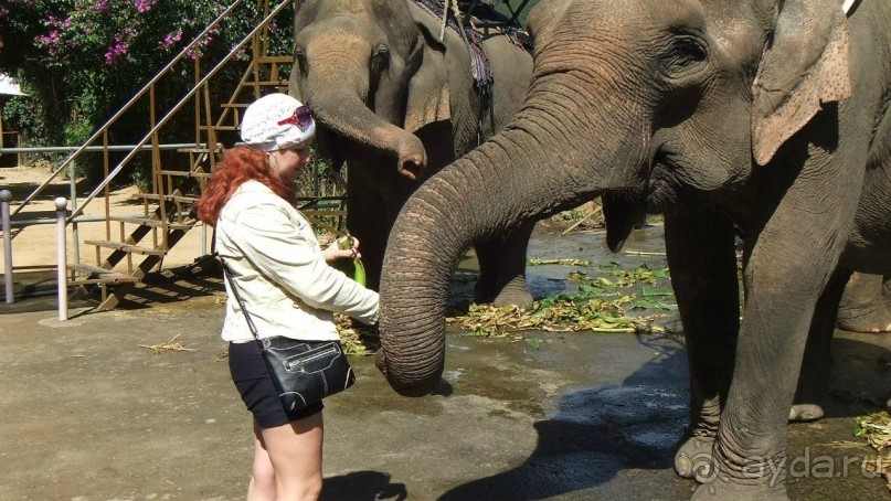 Вьетнам 2012 г.