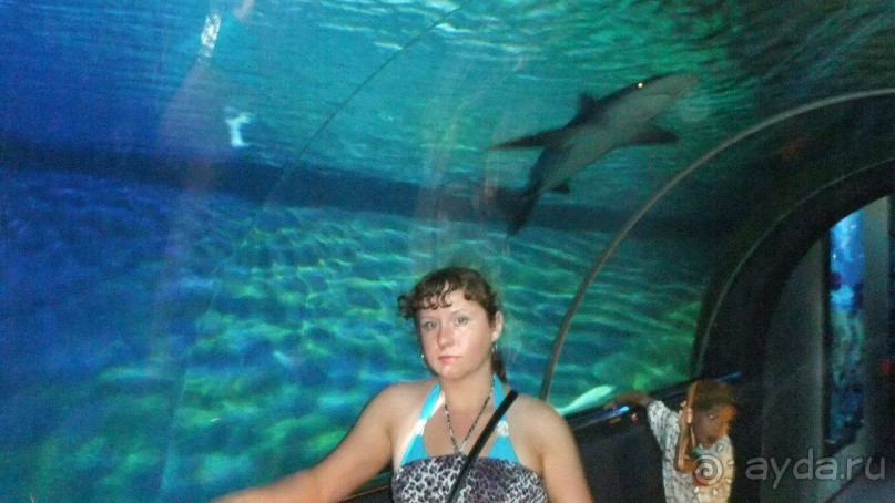 Вьетнам 2012 г.