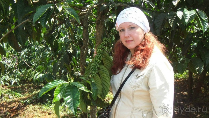 Вьетнам 2012 г.