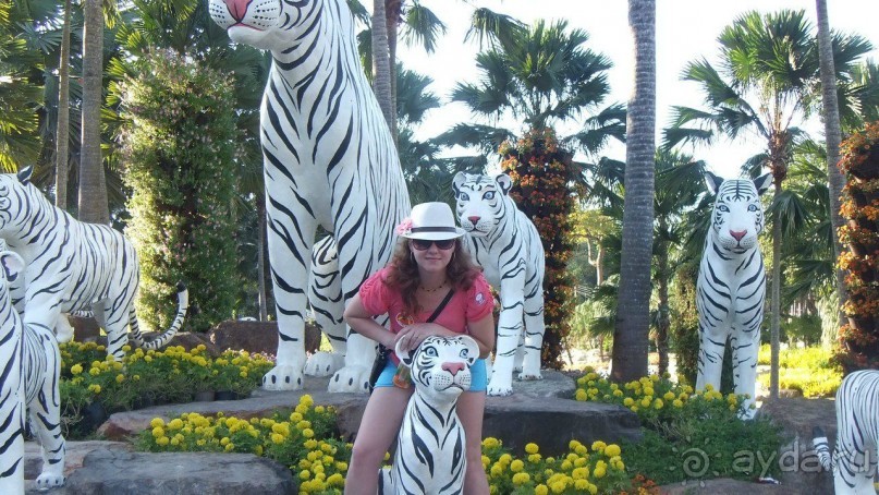 Тайланд, Январь,2013г.