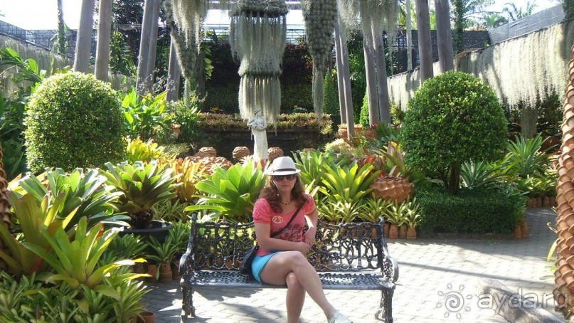 Тайланд, Январь,2013г.