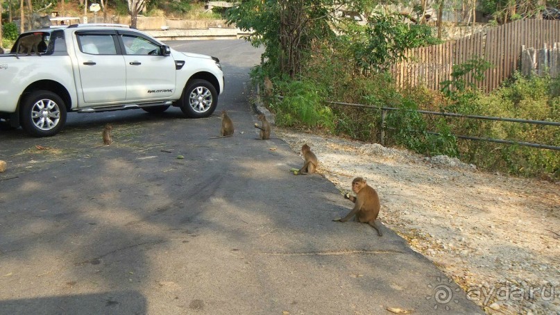 Тайланд, Январь,2013г.