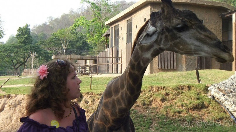 Тайланд, Январь,2013г.