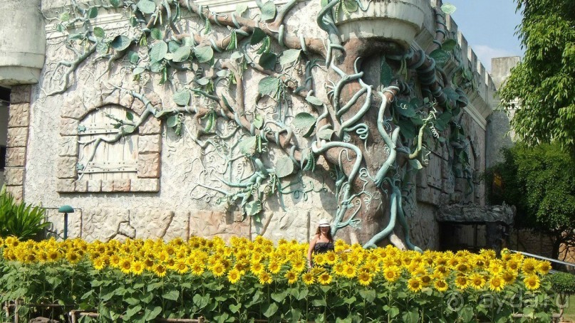 Тайланд, Январь,2013г.