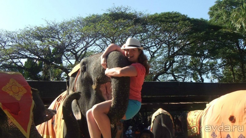 Тайланд, Январь,2013г.