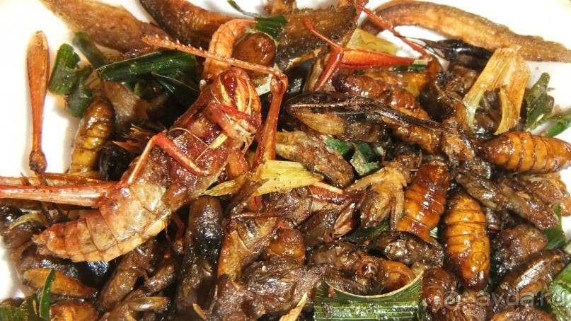 Тайланд, Январь,2013г.