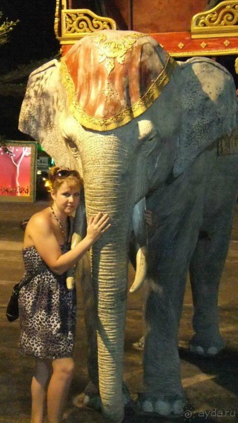 Тайланд, Январь,2013г.