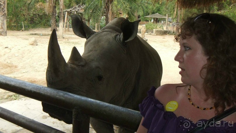 Тайланд, Январь,2013г.