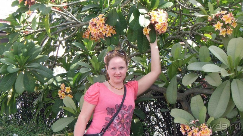 Тайланд, Январь,2013г.