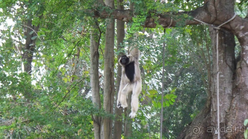 Тайланд, Январь,2013г.