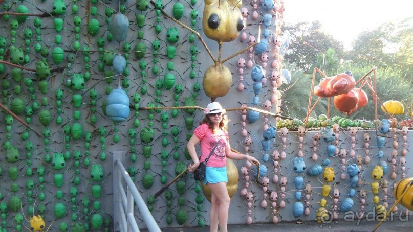 Тайланд, Январь,2013г.