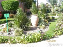 фото Rehana Royal Beach Resort Aqua Park & Spa