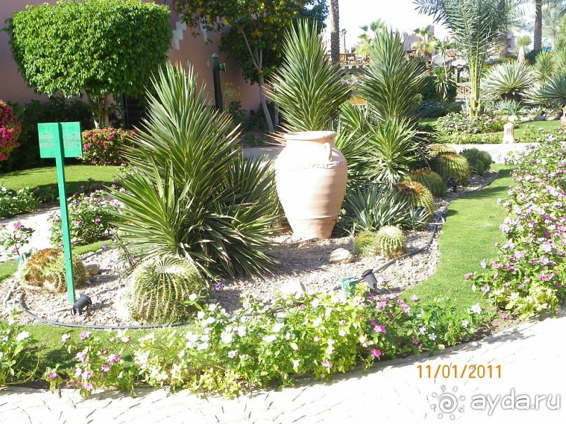 фото Rehana Royal Beach Resort Aqua Park & Spa