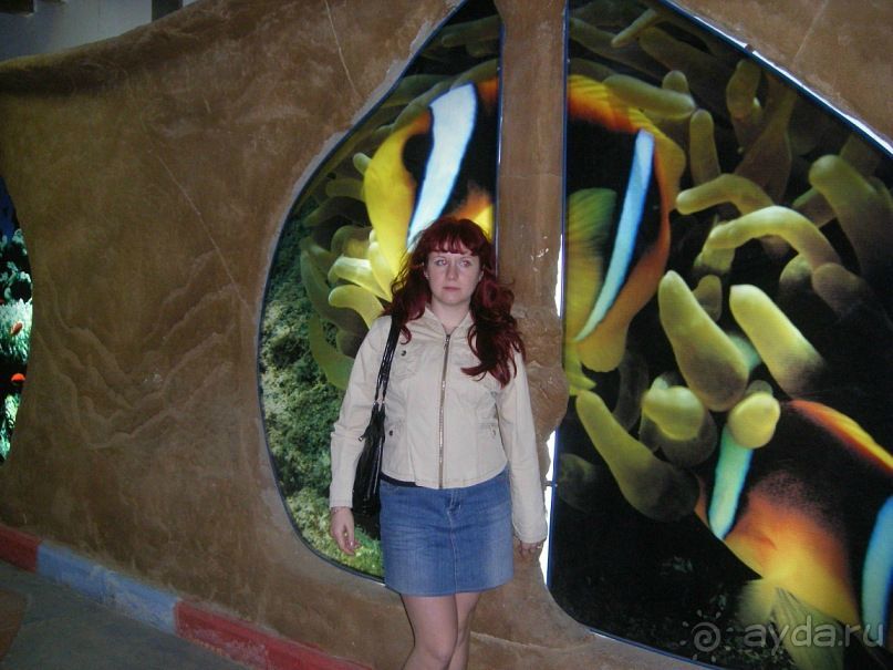 фото Rehana Royal Beach Resort Aqua Park & Spa