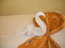 фото Rehana Sharm Resort 