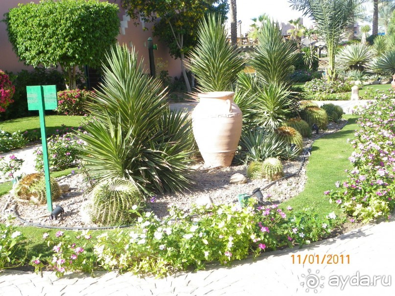 Отдых у бассейна.