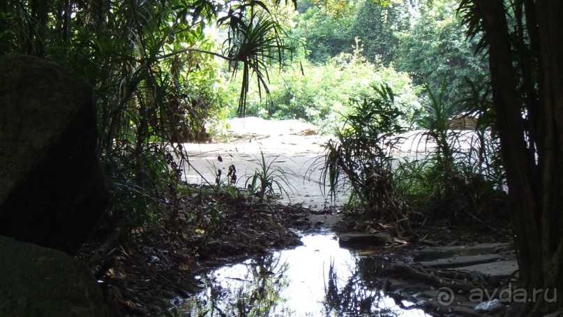 Камбоджа,2013г.