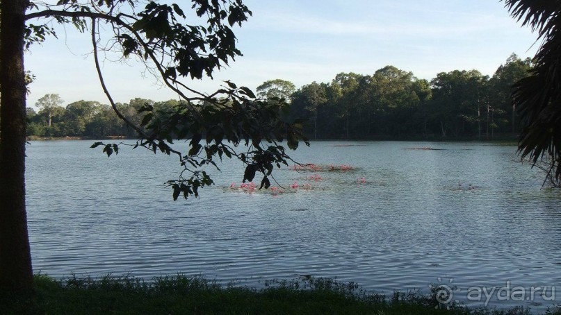 Камбоджа,2013г.