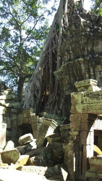 Камбоджа,2013г.