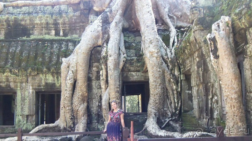 Камбоджа,2013г.