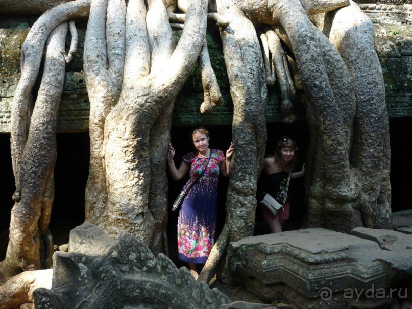 Камбоджа,2013г.