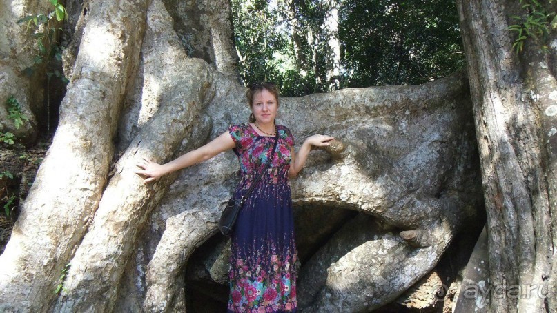 Камбоджа,2013г.