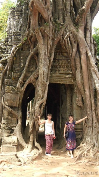 Камбоджа,2013г.