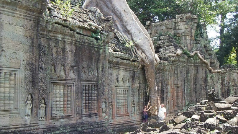 Камбоджа,2013г.