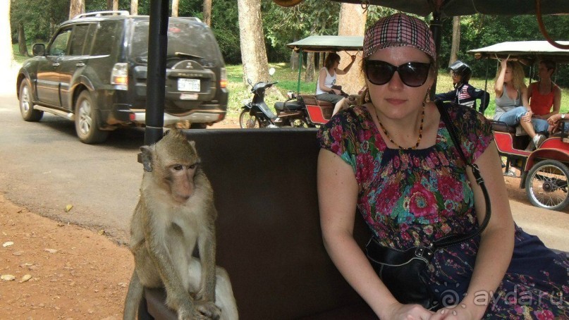 Камбоджа,2013г.