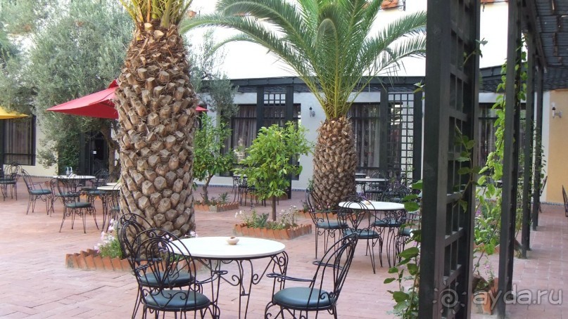 Удачный выбор.