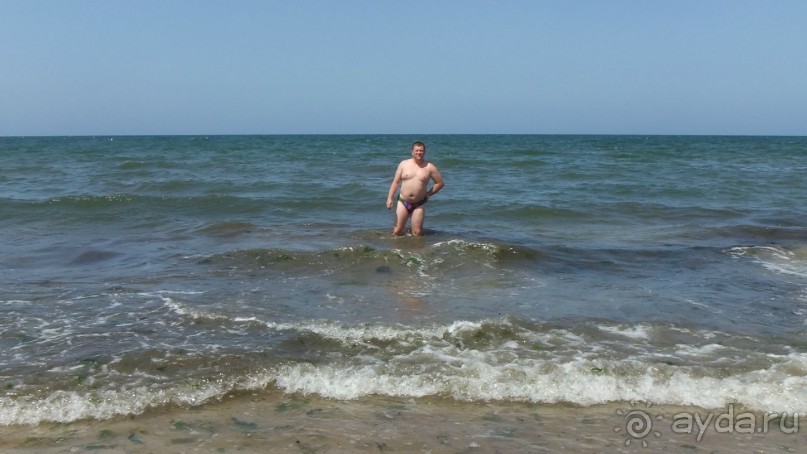 Удачный выбор.