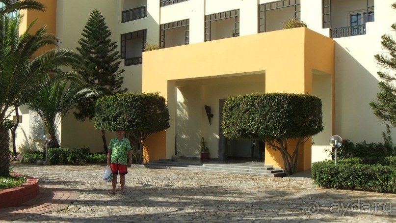 Удачный выбор.