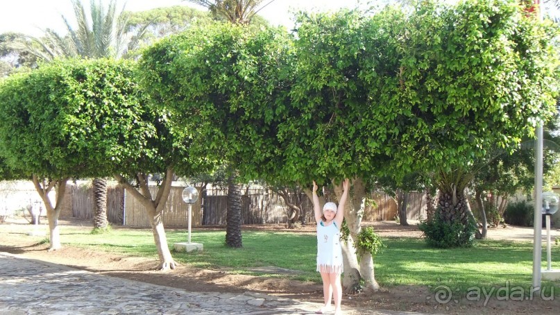 Удачный выбор.