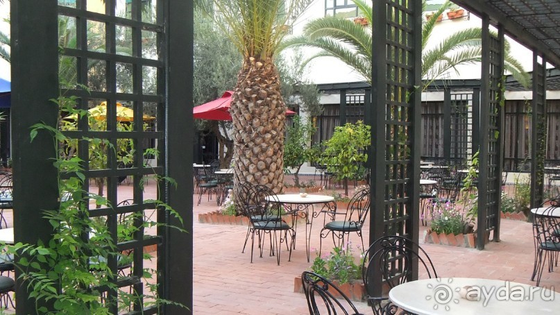 Удачный выбор.