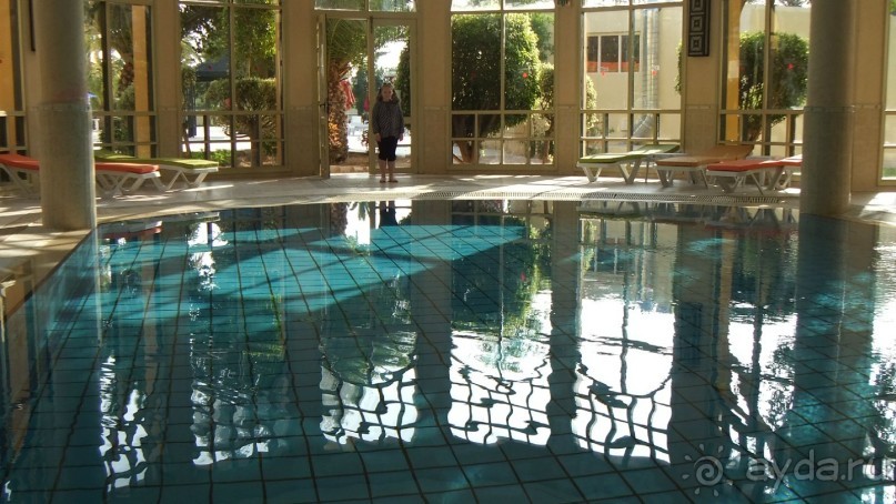 Удачный выбор.