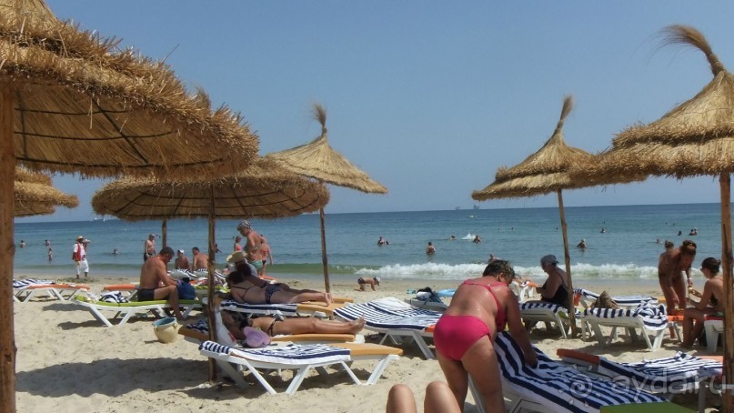 Удачный выбор.