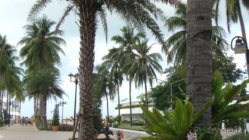 Территория отеля супер!