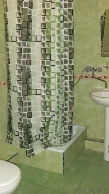 Отель 3 звезды с муравьями.