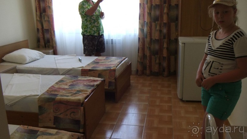 Отель 3 звезды с муравьями.