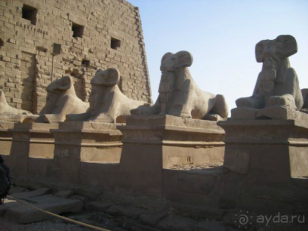 фото Golden Five Paradise Resort (закрыт)